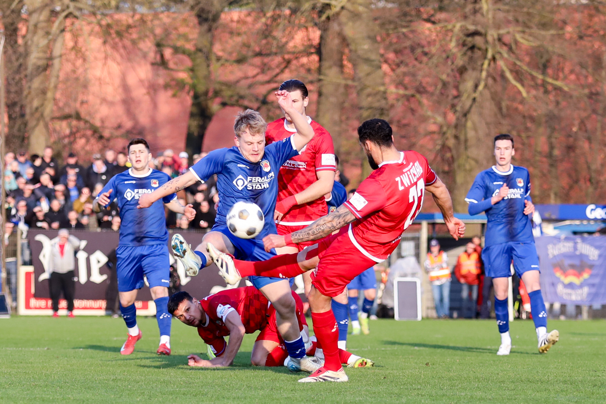 Die BSG Stahl Riesa liefert dem FSV Zwickau einen harten Fight über die gesamte Spielzeit. © SFV