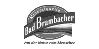 Bad Brambacher